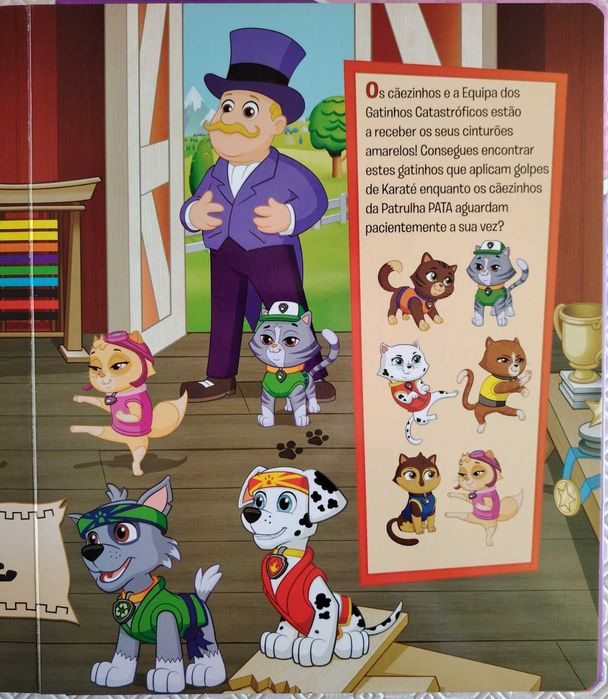 Entra Em Ação Com a Skye!