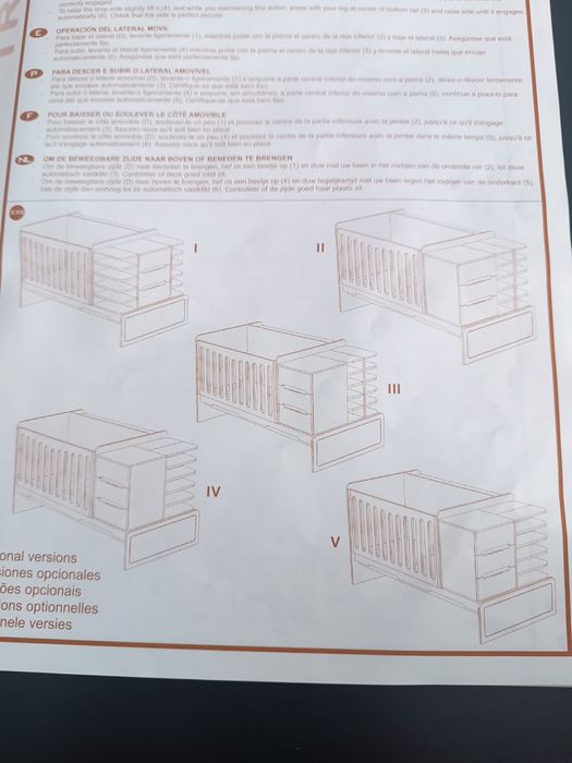 Berço Medular Trama