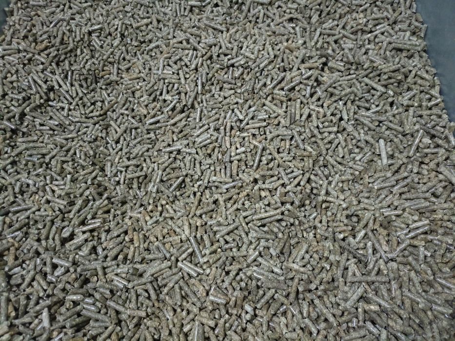 Pelet Pellet 6mmA1 Sosna Jodła Buk Dąb