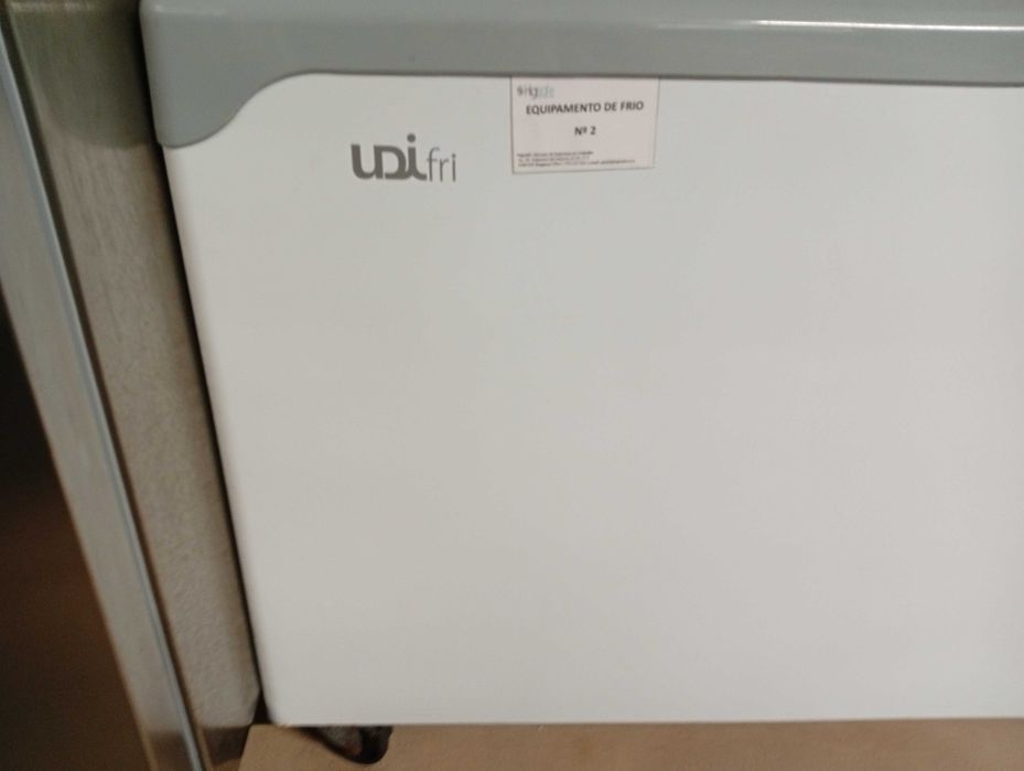 Arca congeladora UDIFRI 500 VC C/FECHO
