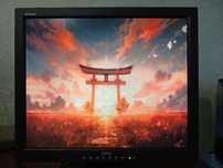 Монітор DELL 1800FP 18 дюймів TN CCFL/DVI-D VGA