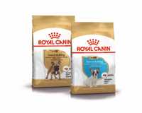 ENVIO GRÁTIS Royal Canin BULLDOG FRANCÊS Puppy, Adulto 10+5kg