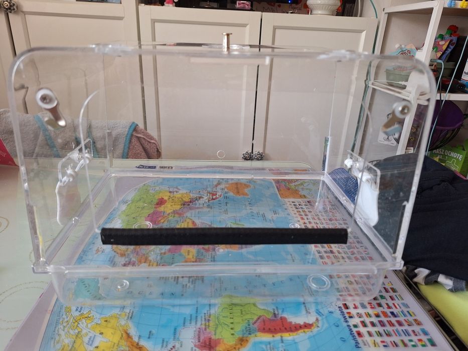 Wanna do kąpieli dla ptaków