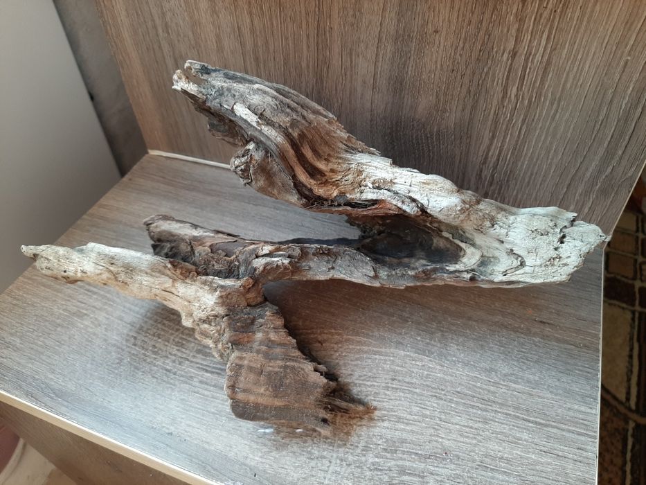 Продам коряжку в аквариум