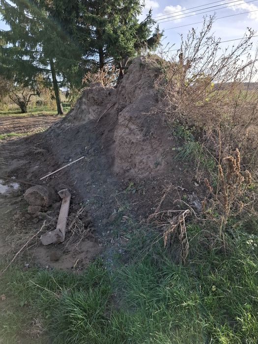 Oddam ziemię za darmo