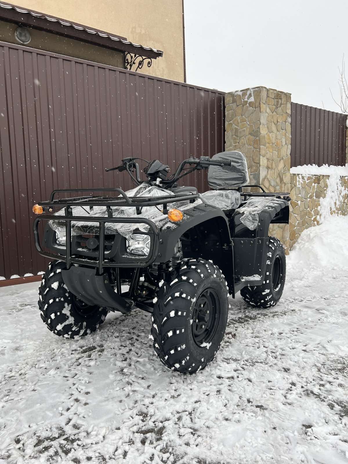 Квадроцикл Forte ATV250BS