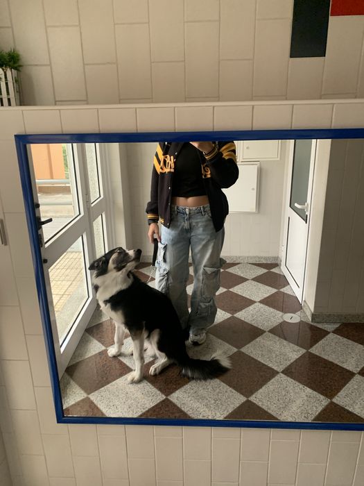 Cão de 9 meses para adoção
