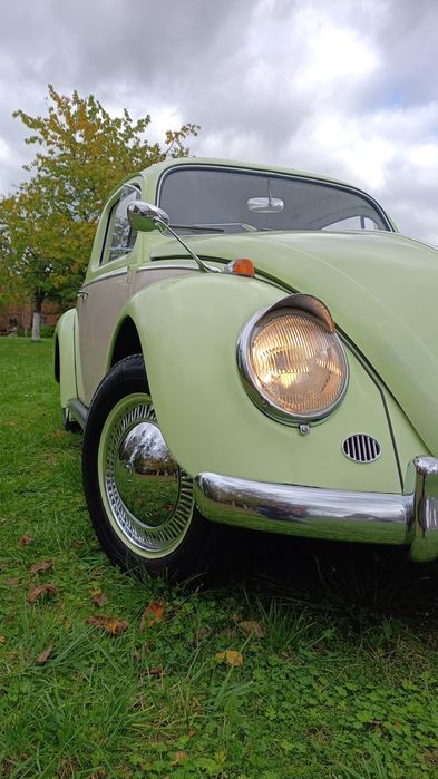 Garbus do ślubu/sesji zdjęciowych. . Zapraszam.