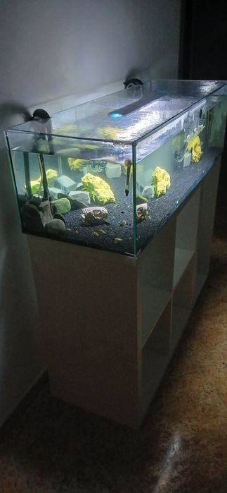 Aquário  para venda