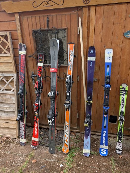 Лижі професійні гірські