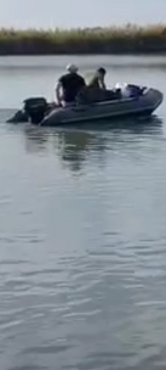 Лодка колибри 360 , мотор Nissan Marine 15, эхолот  Lowrance, прицеп .