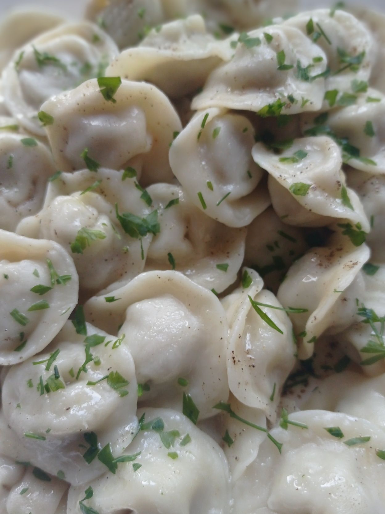 Pierogi pielmieni 1000g 90szt