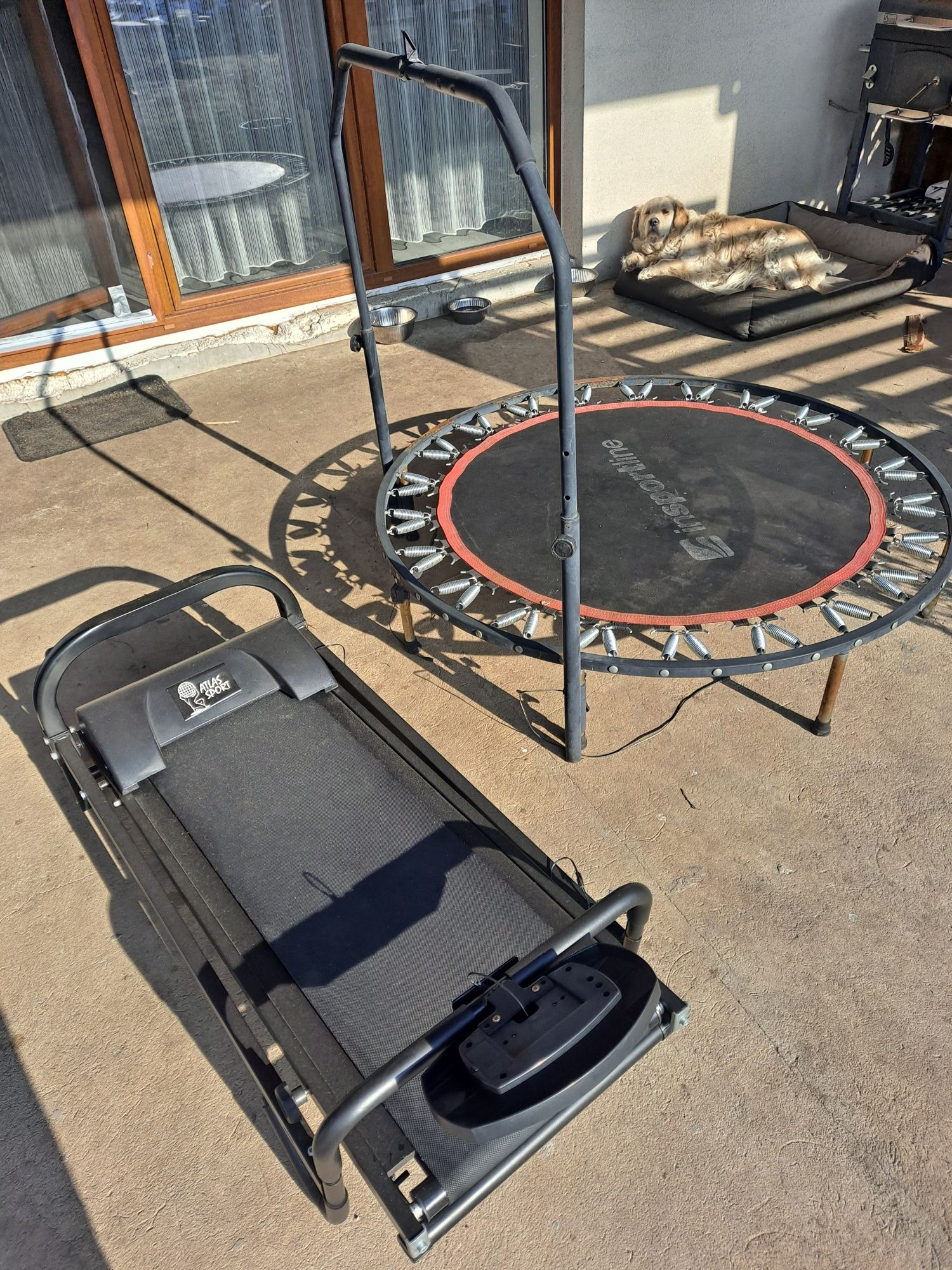 Trampolina domowa do ćwiczeń przed telewizorem