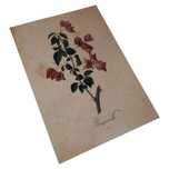 plakat obraz kwiaty vintage a4