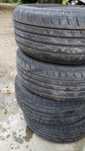 Opony Dunlop 205/55/r16