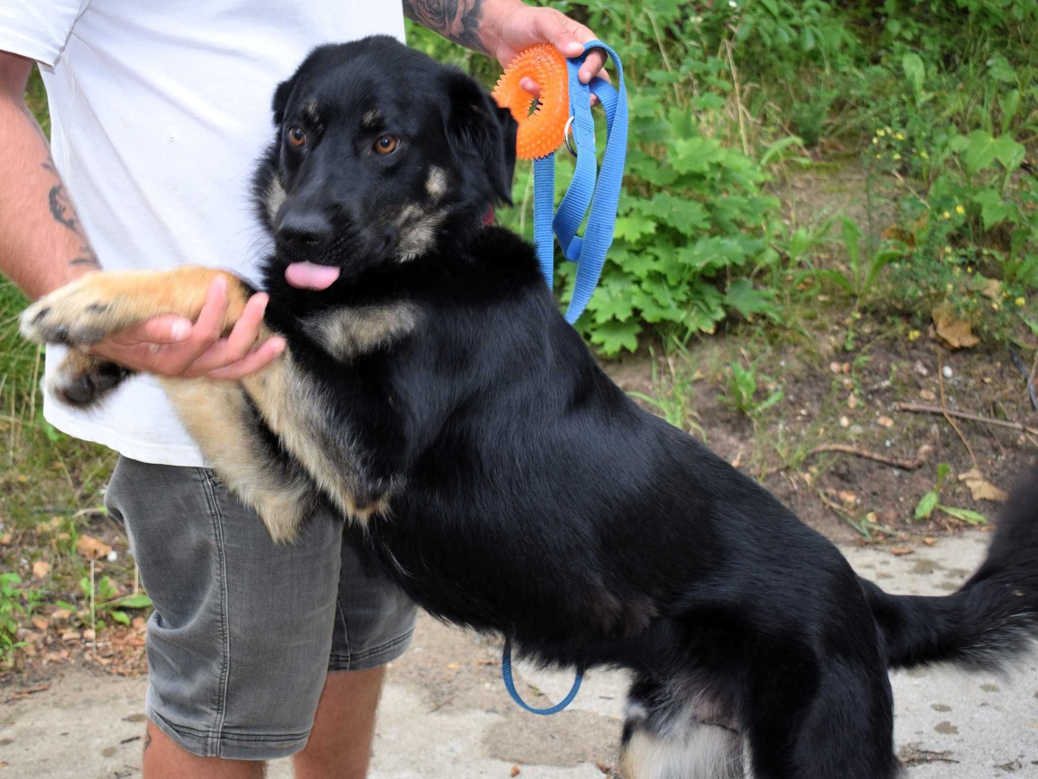 Dunaj tak bardzo chce być kochany