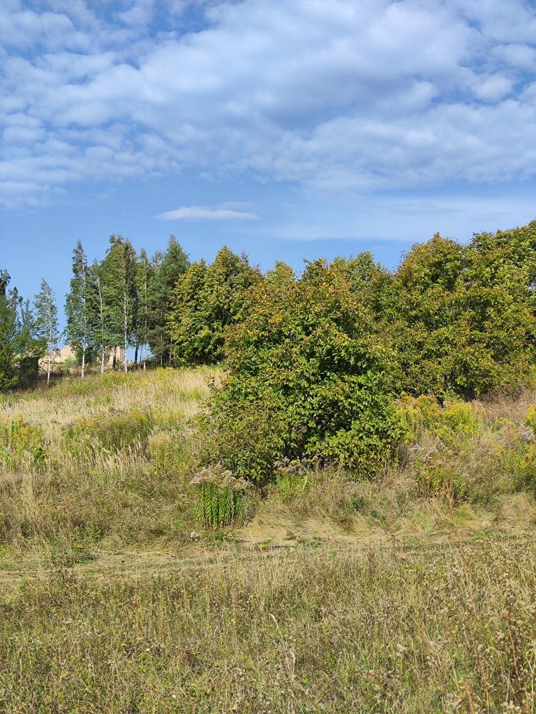 =Земельна ділянка під житлову забудову в Городищі=