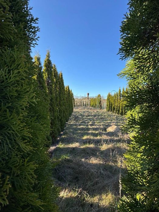 Продаж діючого цегельного заводу Львівська обл.