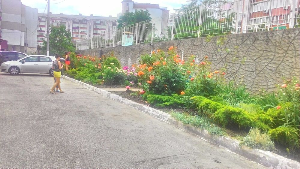 Здам свою 1-кімнатну кв АББО