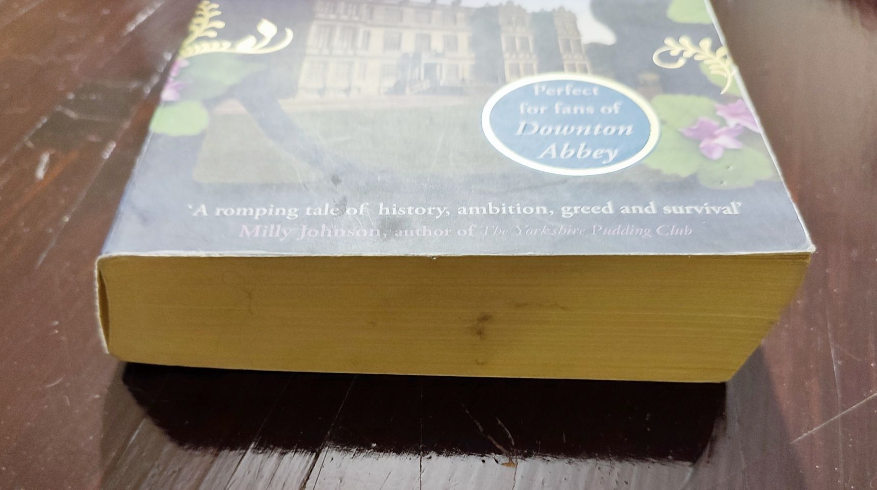 Jane Sanderson - Netherwood po angielsku angielski jak Downton Abbey