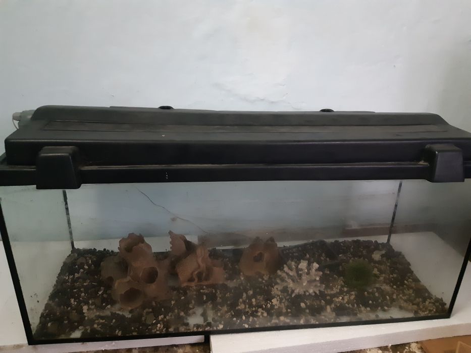 Продам акваріум на 200л і зовнішній фільтр