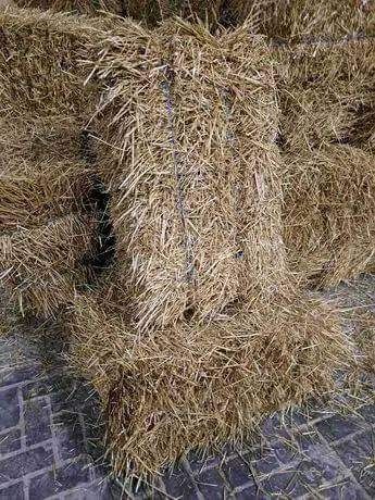 Солома в тюках 66 шт.