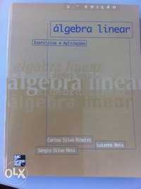 Álgebra Linear - Exercícios e Aplicações McGrawHill NOVO