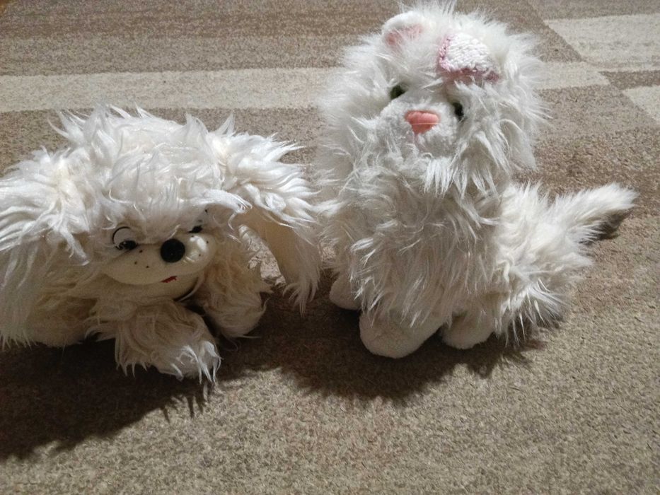 pluszowy piesek i kotek