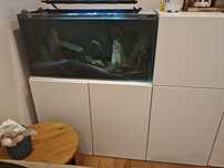 Akwarium optiwhite 100x40x50h 200l