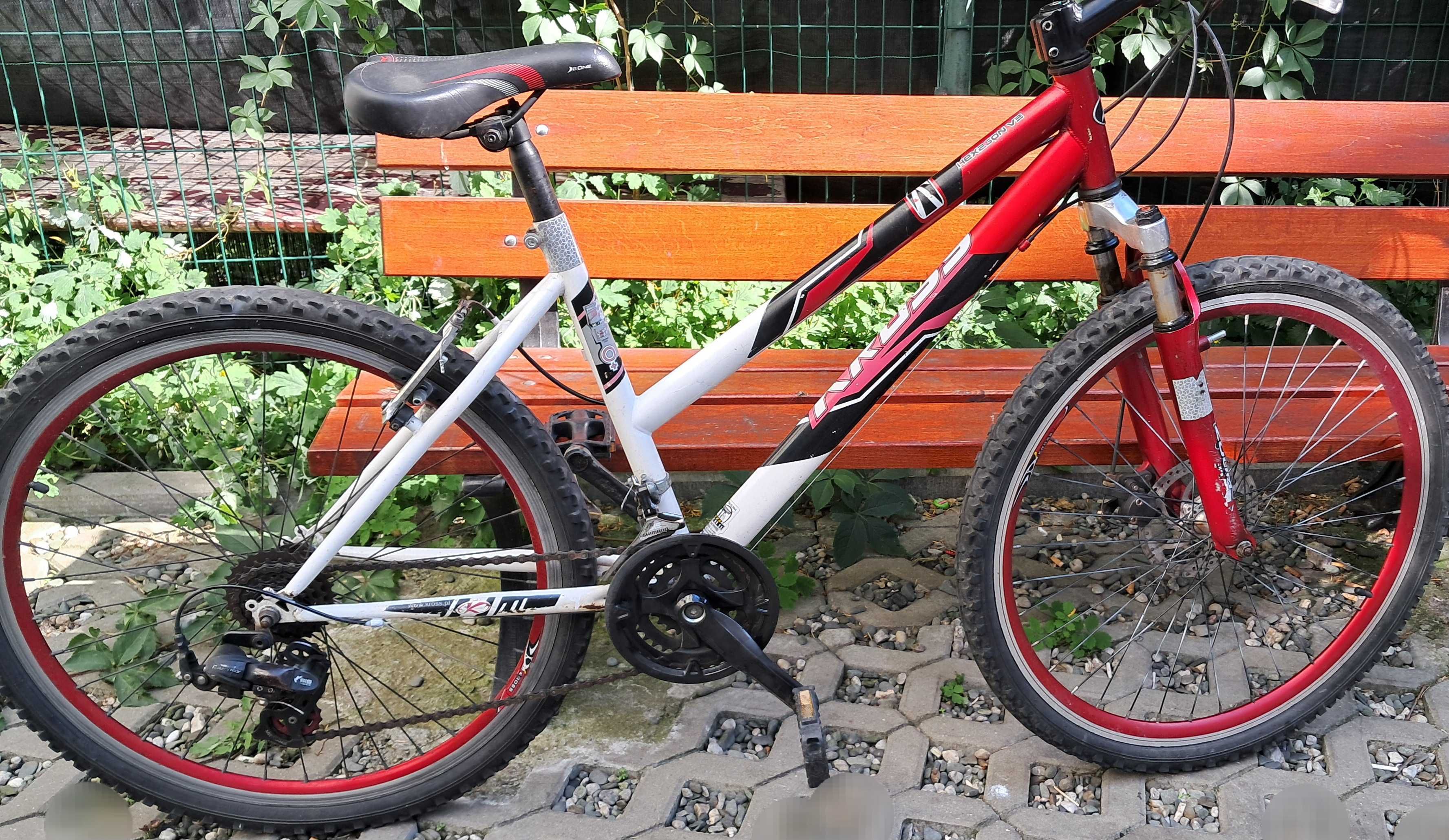 Rower  24'' cale