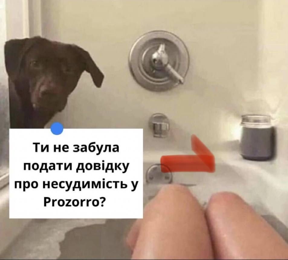 Тендерний супровід Prozorro — підготовка документів, оскарження АМКУ