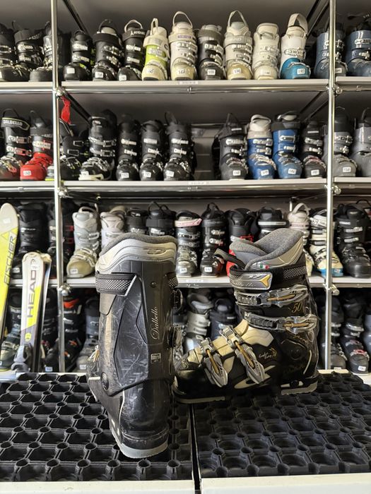 Buty narciarskie DALBELLO 24 cm Sklep serwis Kraków Dąbska 18D