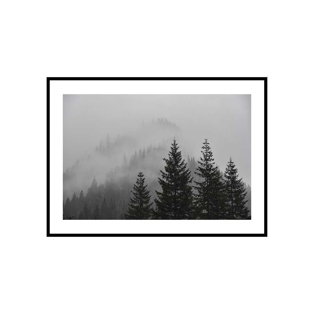 Obraz zdjęcie plakat format A3 30x40 cm mgła góry las trawy morze