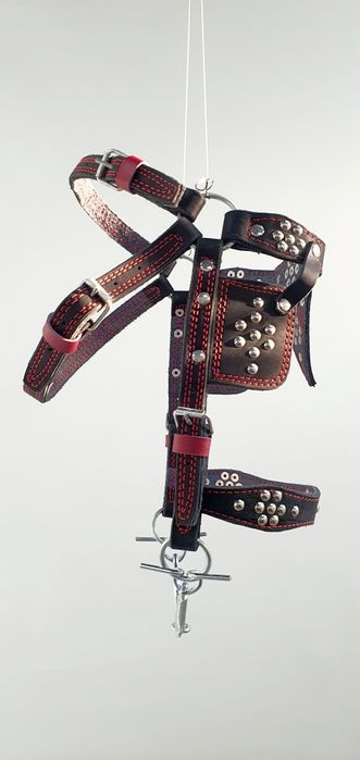 Шиємо уздечки на коня