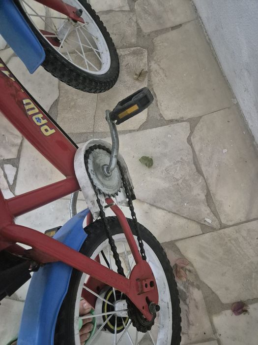 Bicicleta patrulha pata