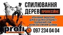 Спил деревьев любой сложности. Дробление и измельчение веток.