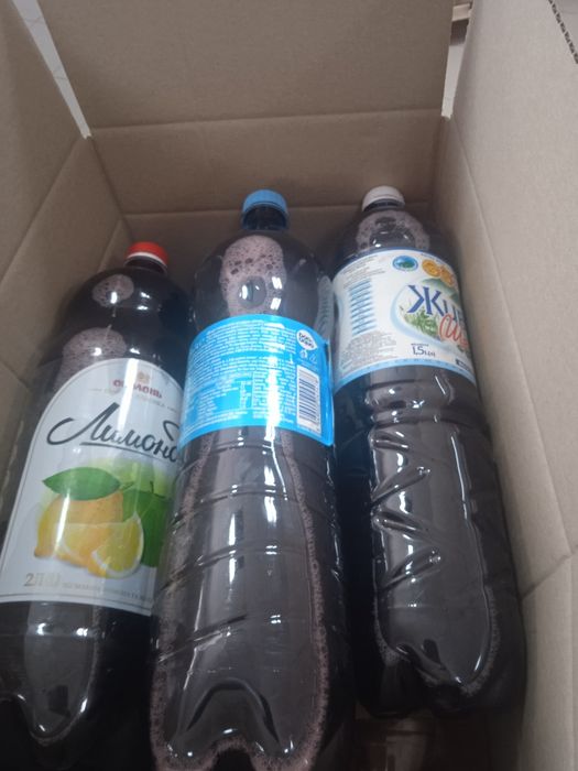 Винее домашнее із сонячного Закарпаття