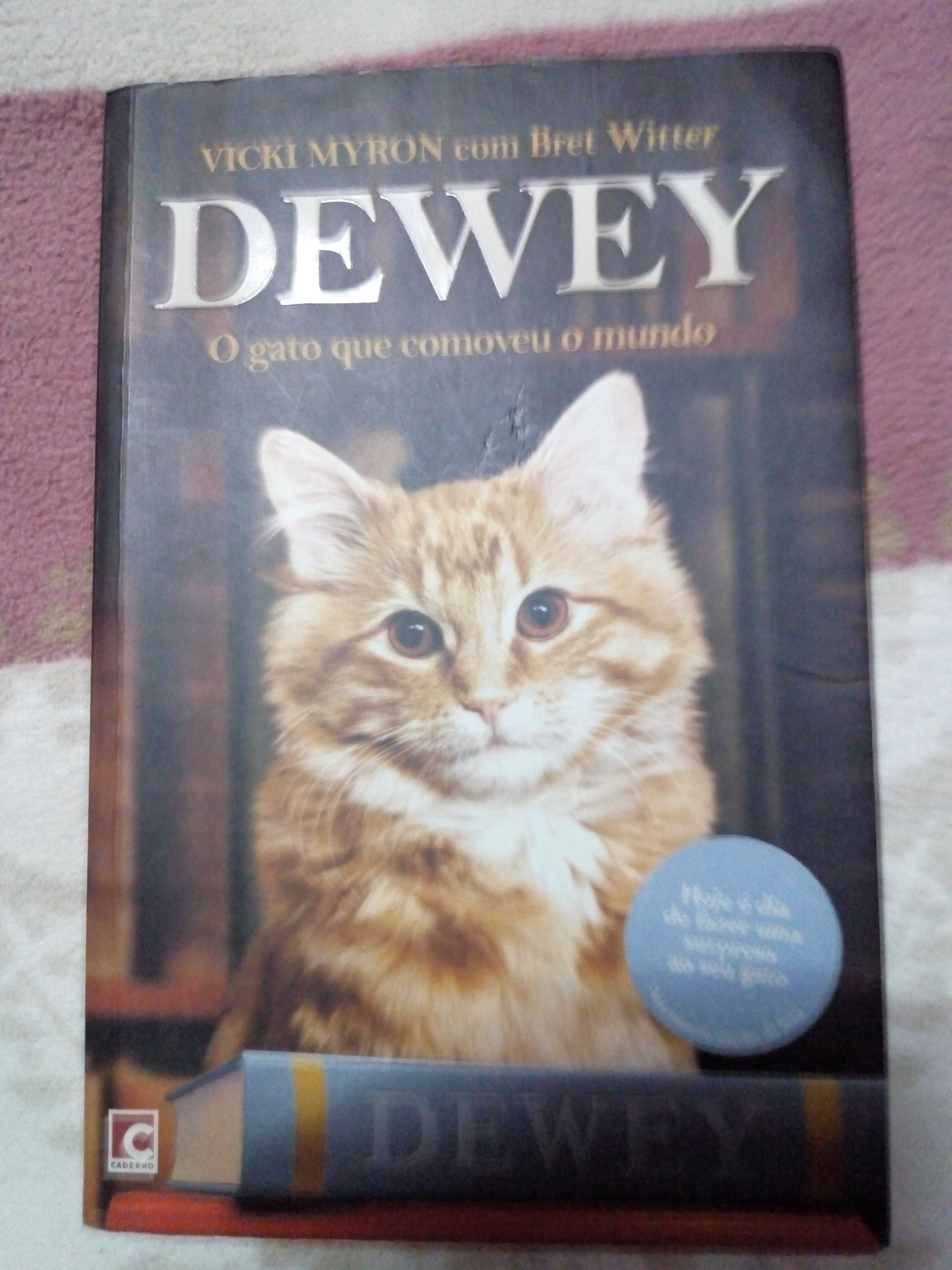 Livros de literatura