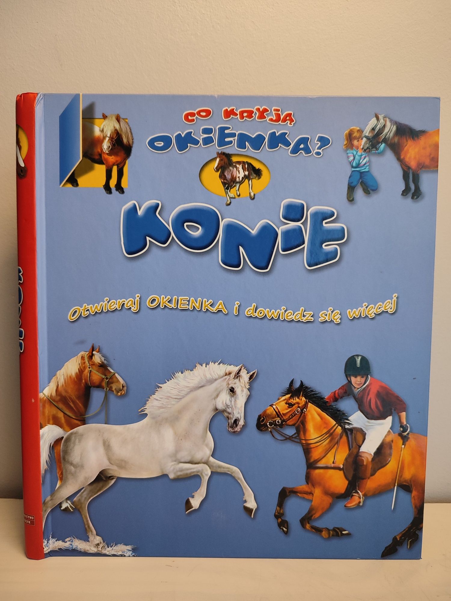 Konie. Co kryją okienka?