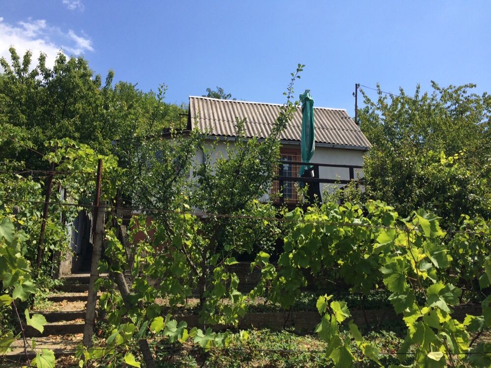 Продам дачу в Виноградові