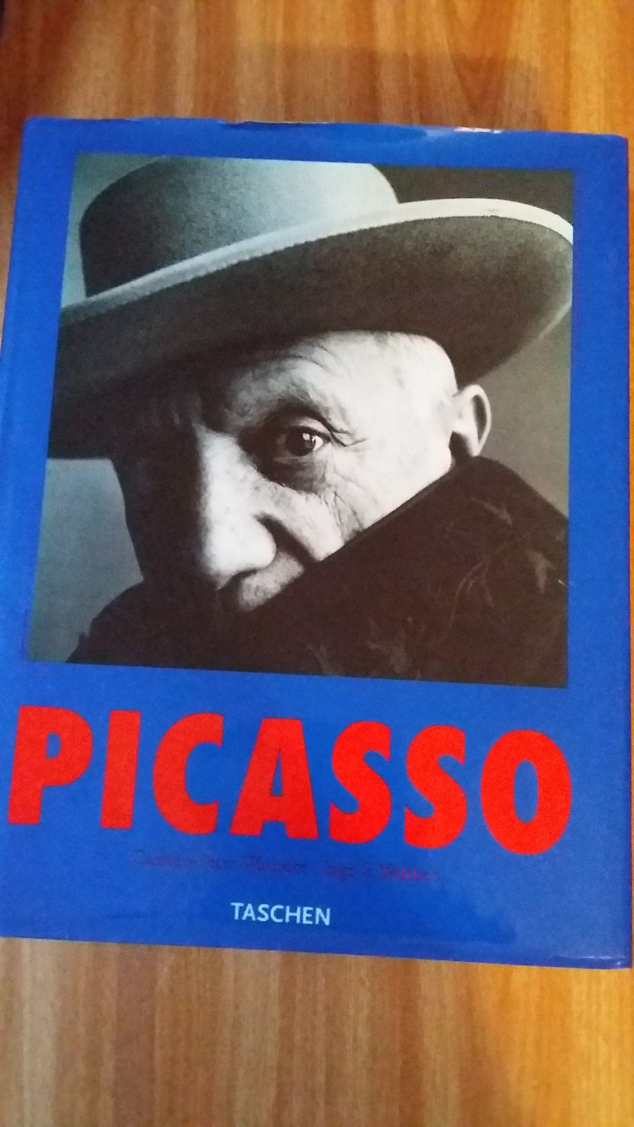 Livro Picasso - Edição especial 740 páginas