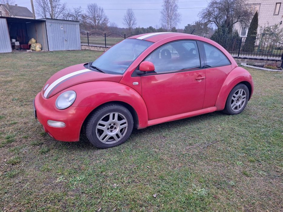 Garbus szuka nowego właściciela