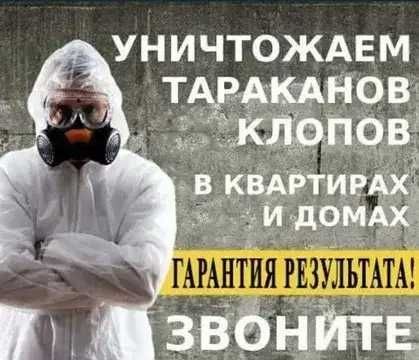 Знищення тарганiв клопiв травить вывести блох клопов тараканов