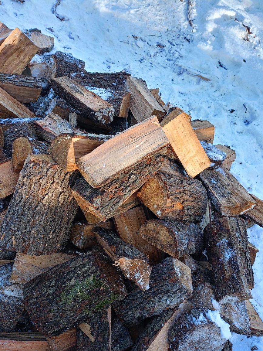 Wszystkie gatunki drewna opałowego sezonowane dowuz na miejsce