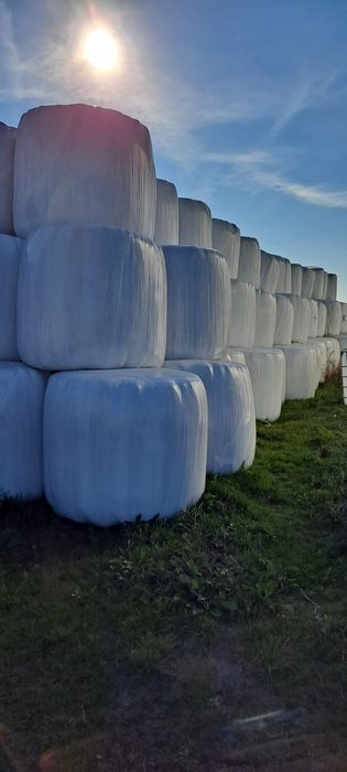 Sianokiszonka kiszonka