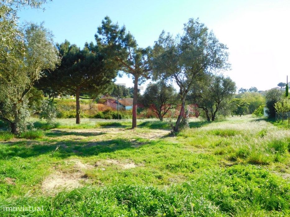 Terreno localizado perto da lagoa de obidos