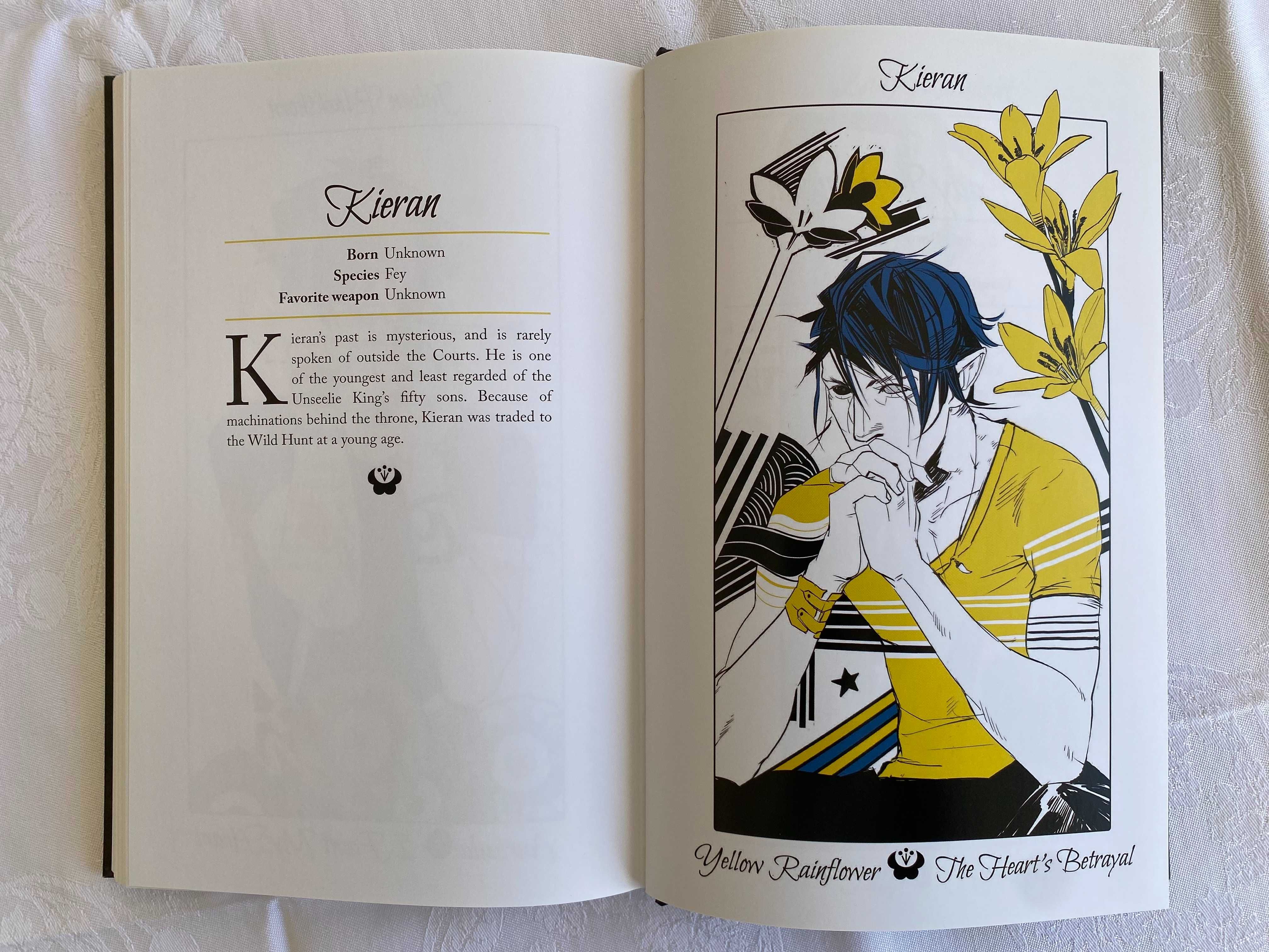 an illustrated history of notable shadowhunters by cassandra clare