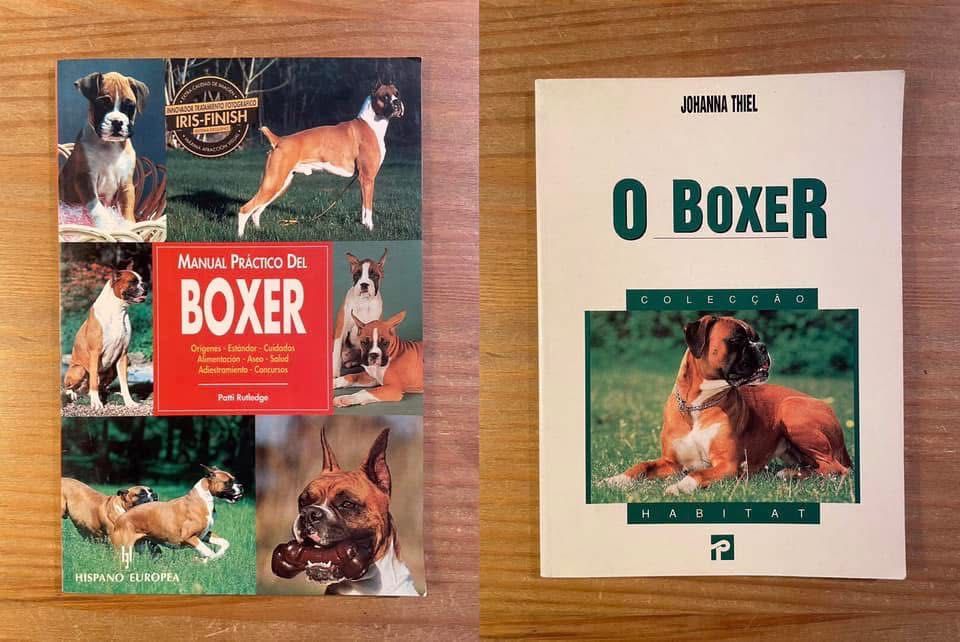 Conjunto 2 livros - Boxer (portes grátis)