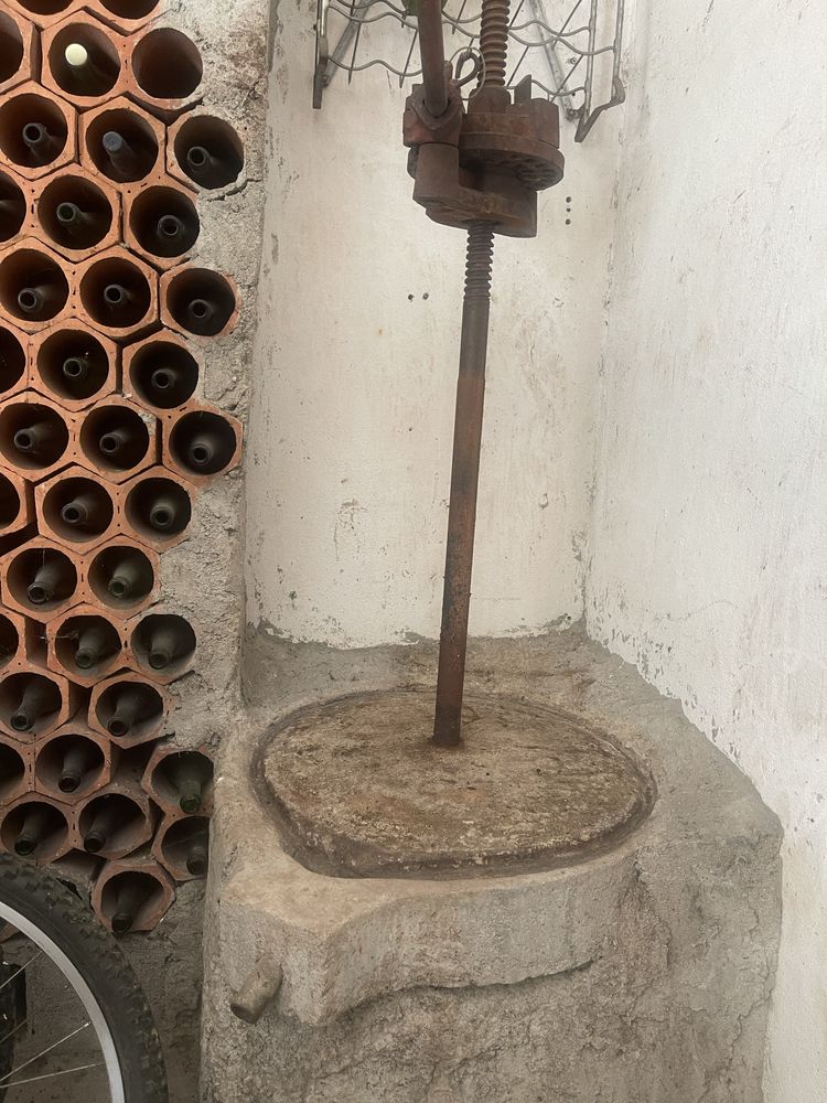 Espremedor de Bagaço