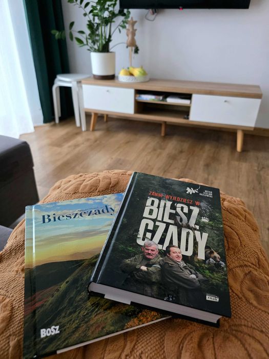 Domki nad Soliną Noclegi Polańczyk Bieszczady